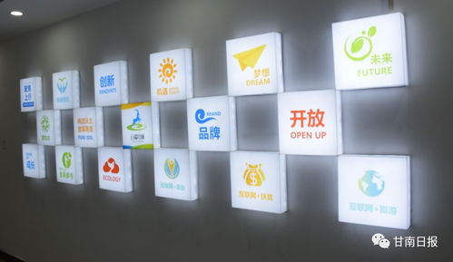 合作市電子商務(wù)公共服務(wù)中心正式啟動(dòng)，賦能電商運(yùn)營管理服務(wù)新篇章